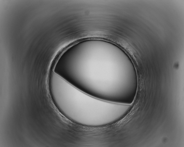 X0000098081072200804040746