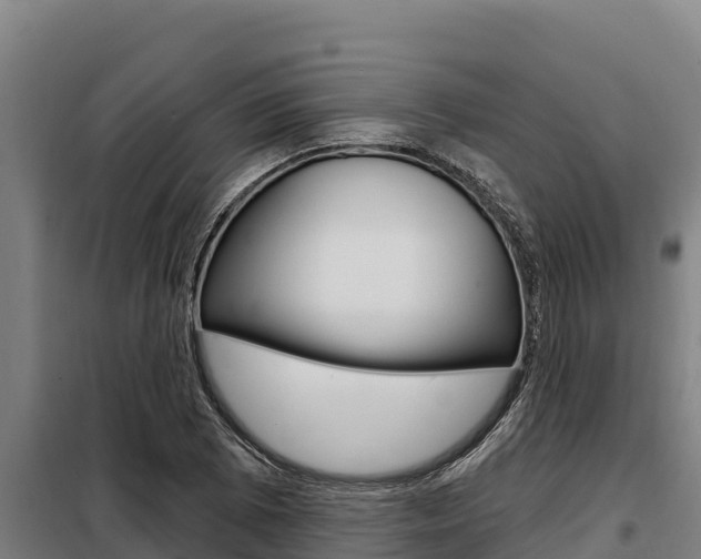 X0000098081073200804040746
