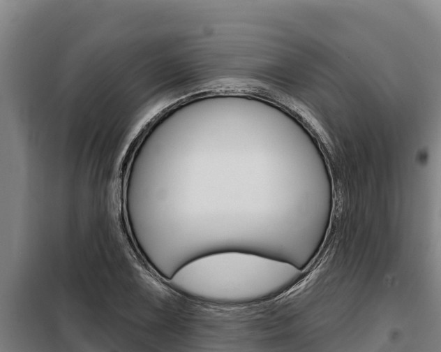 X0000098081075200804040745