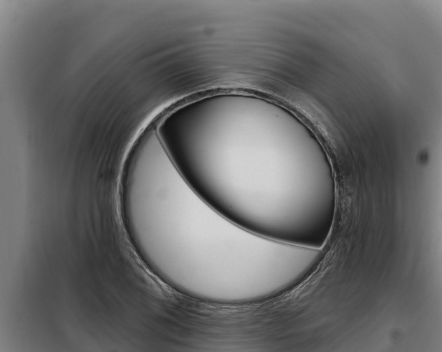 X0000098081076200804040745
