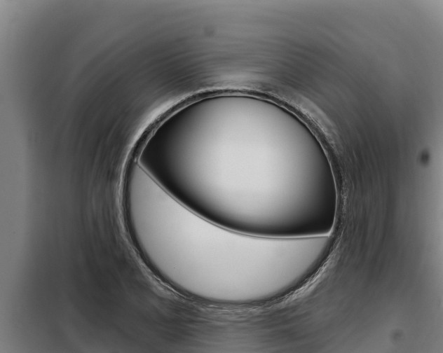 X0000098081077200804040745