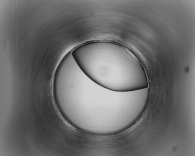 X0000098081079200804040745