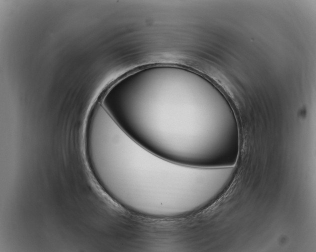 X0000098081080200804040745