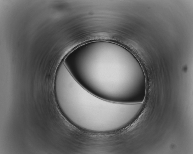 X0000098081081200804040745