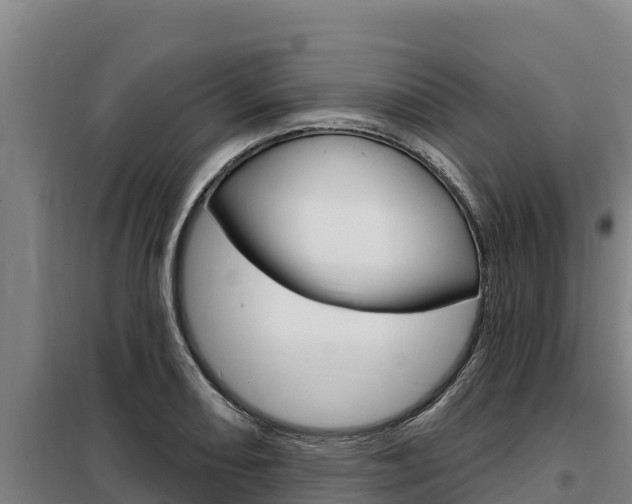 X0000098081082200804040745