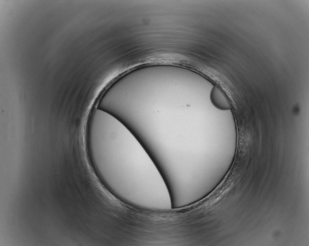 X0000098081083200804040745