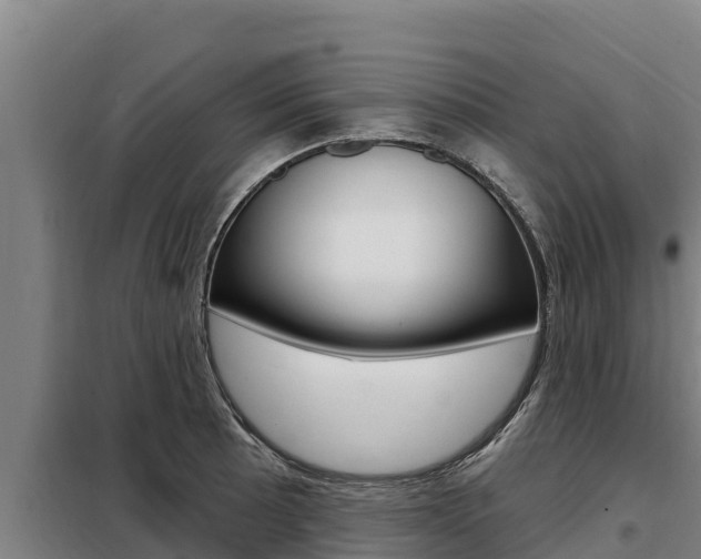 X0000098081089200804040745