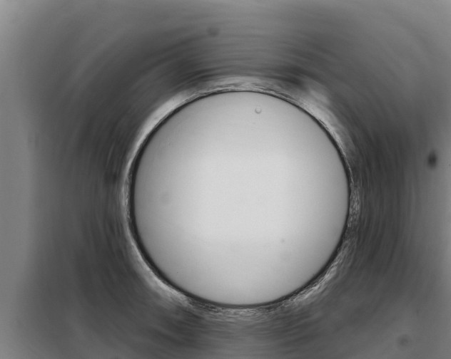 X0000098081090200804040745
