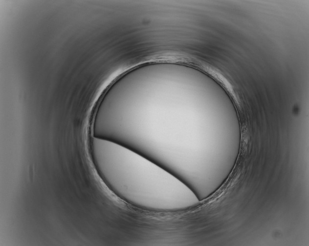 X0000098081091200804040745