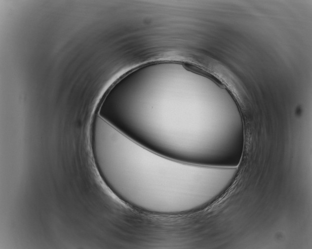 X0000098081092200804040745