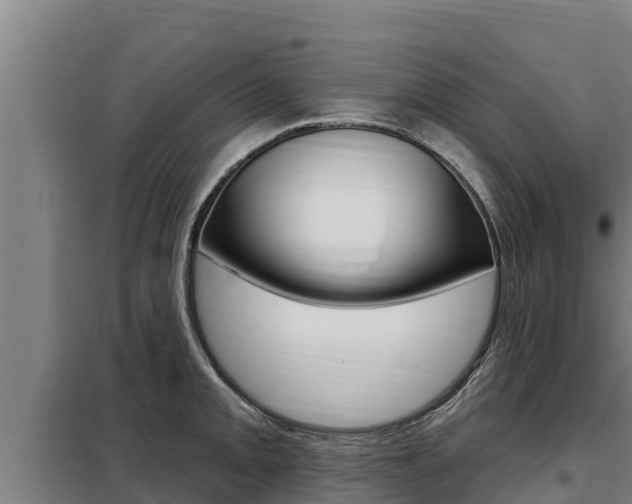 X0000098081093200804040745