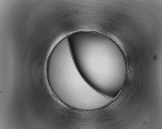 X0000098081096200804040745