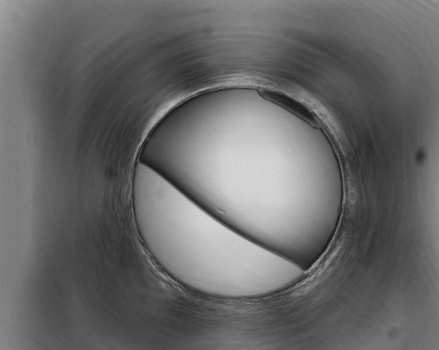 X0000098081097200804040745