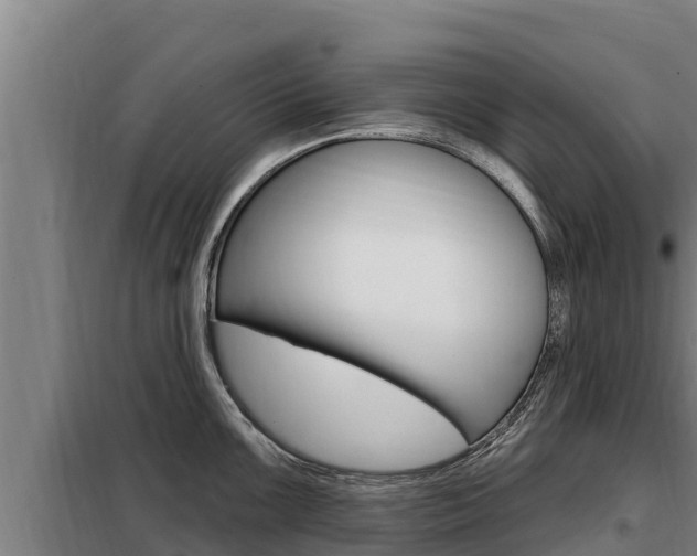 X0000098081099200804040745
