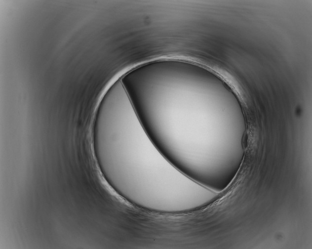 X0000098081100200804040745