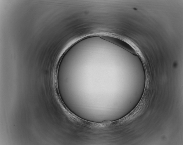 X0000098081101200804040745