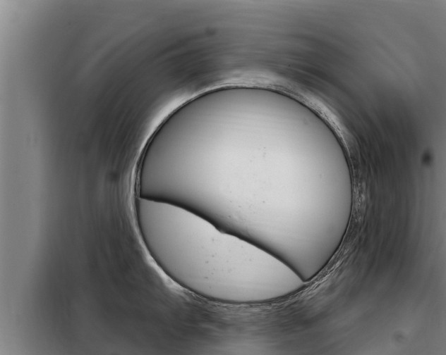 X0000098081103200804040745