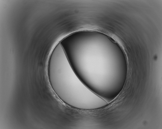 X0000098081104200804040745