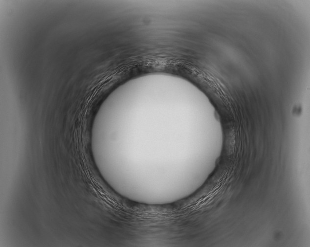 X0000098081105200804040744
