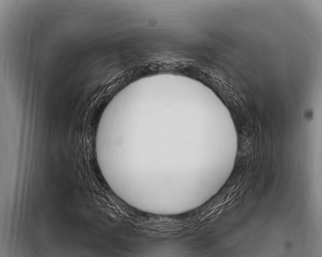 X0000098081109200804040744