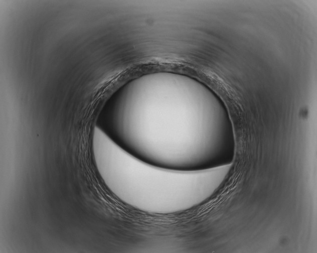 X0000098081110200804040745