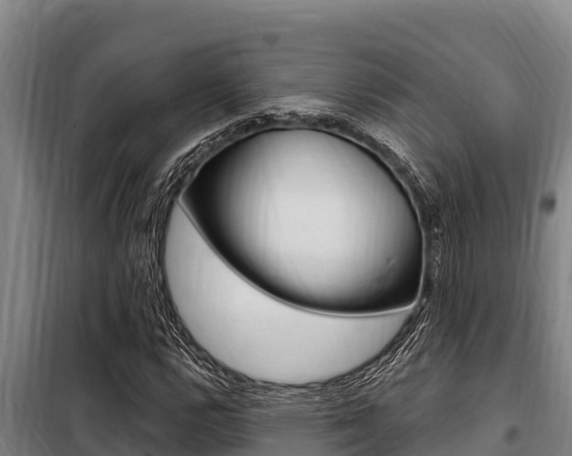 X0000098081112200804040745