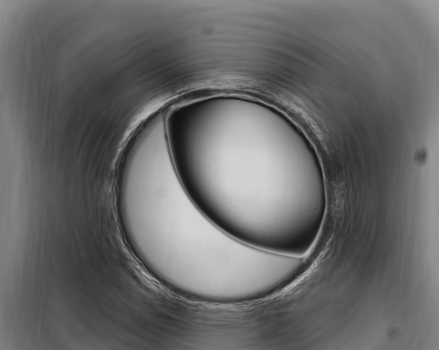 X0000098081114200804040745