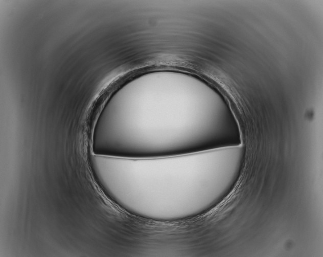 X0000098081115200804040745