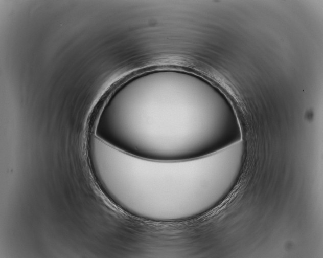 X0000098081116200804040745