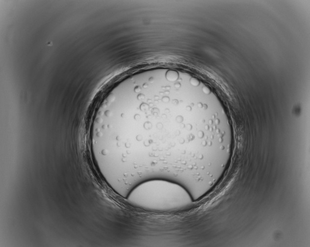 X0000098081117200804040745