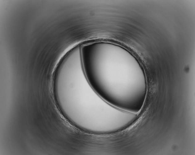X0000098081118200804040745