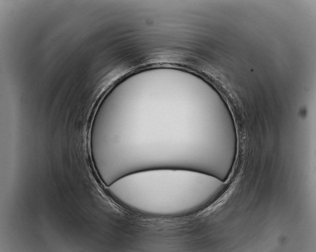 X0000098081121200804040745