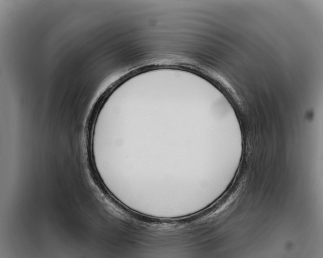X0000098081122200804040745