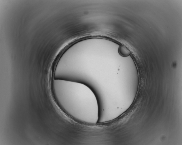 X0000098081126200804040745