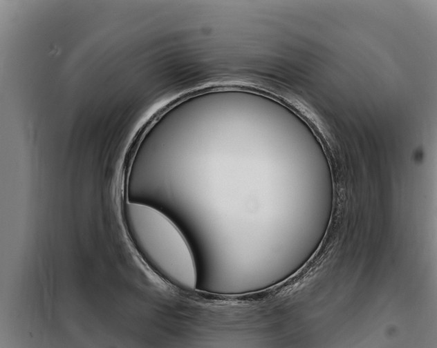 X0000098081127200804040745