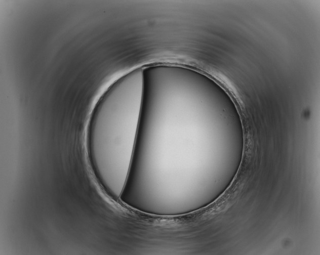 X0000098081128200804040745