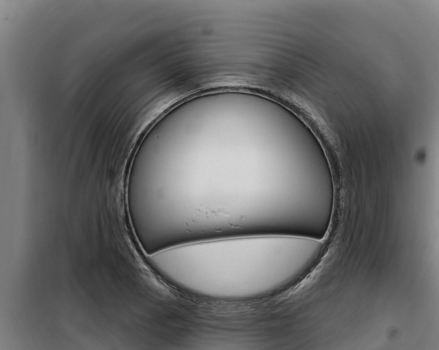 X0000098081129200804040745