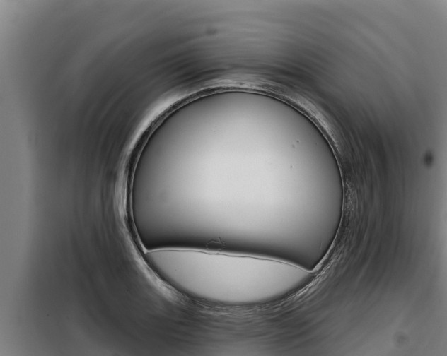 X0000098081131200804040745