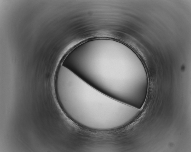 X0000098081133200804040745
