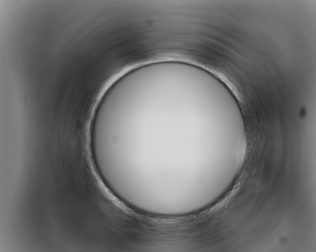 X0000098081134200804040745