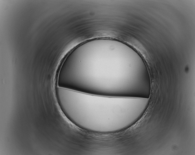 X0000098081135200804040745