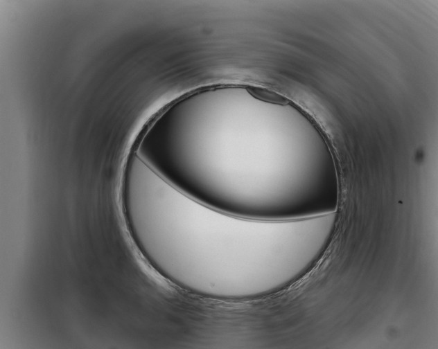 X0000098081136200804040745