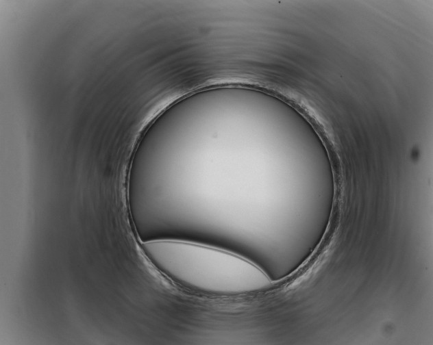 X0000098081137200804040745