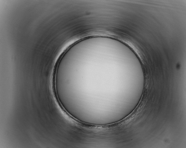 X0000098081139200804040745