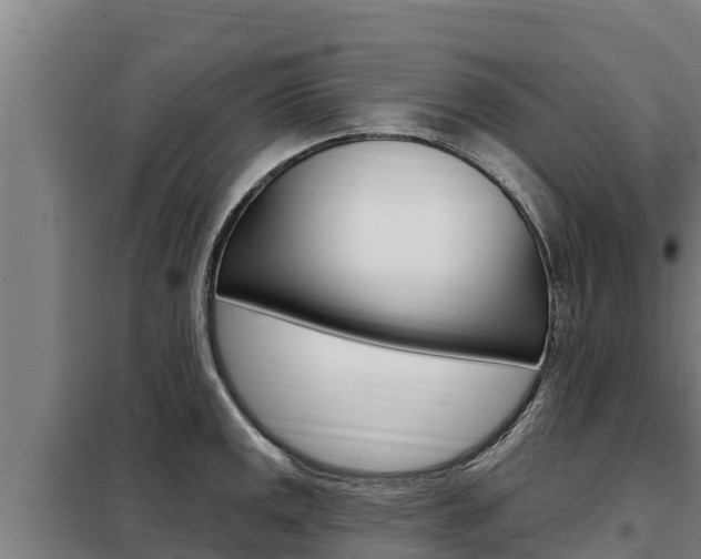 X0000098081141200804040745