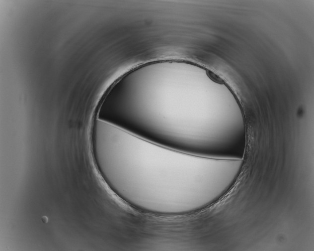 X0000098081142200804040745
