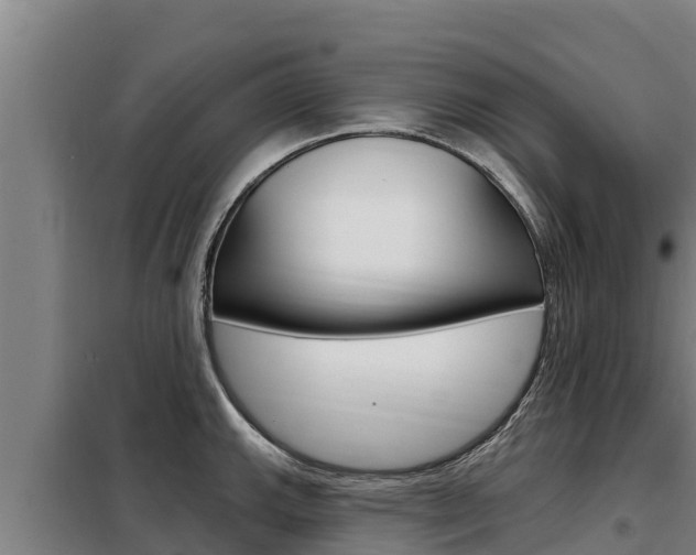 X0000098081143200804040745