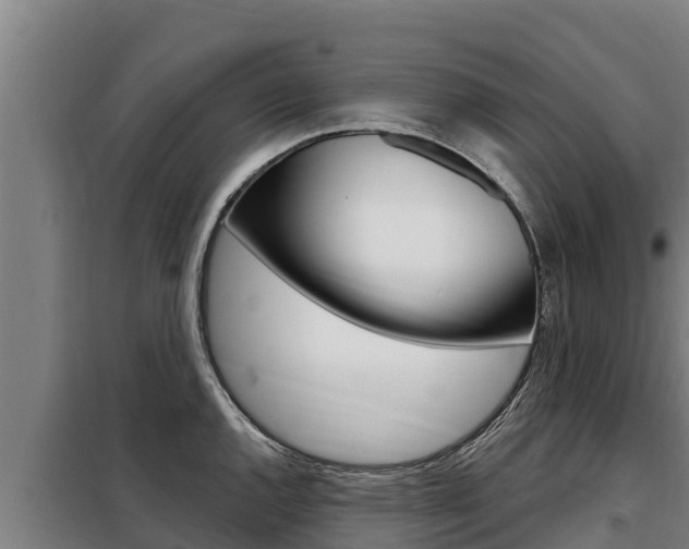 X0000098081144200804040745