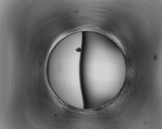 X0000098081146200804040745