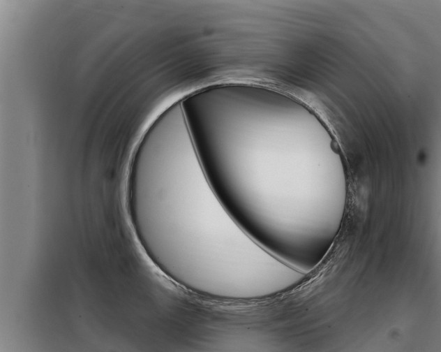 X0000098081147200804040745